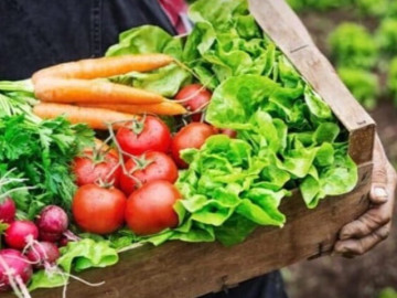 Top 10 rau củ quả mùa thu giúp gan khỏe, ăn đúng cách giảm nguy cơ bệnh tim mạch, đột quỵ