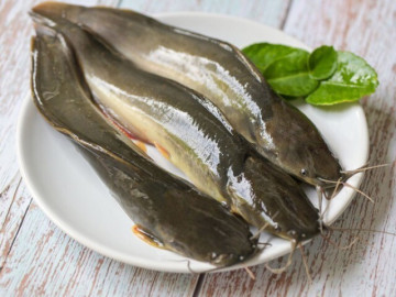 Sức khỏe - 11 loại cá quen thuộc “ngậm” nhiều thủy ngân, ở chợ Việt bán đầy, bà nội trợ khi mua cần lưu ý điều này