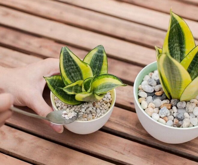 Tháng 6 nhuận là thời gian được "tặng thêm", tận dụng làm vài việc đơn giản sau để đón tháng 