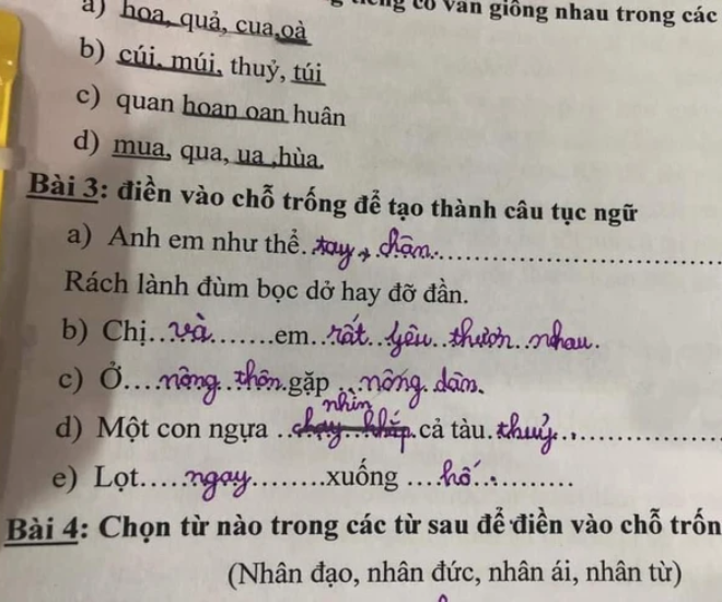 Bài tập tiếng Việt về loạt thành ngữ, tục ngữ của học sinh tiểu học gây bão, đáp án sai nhưng lại rất thuyết phục - 1