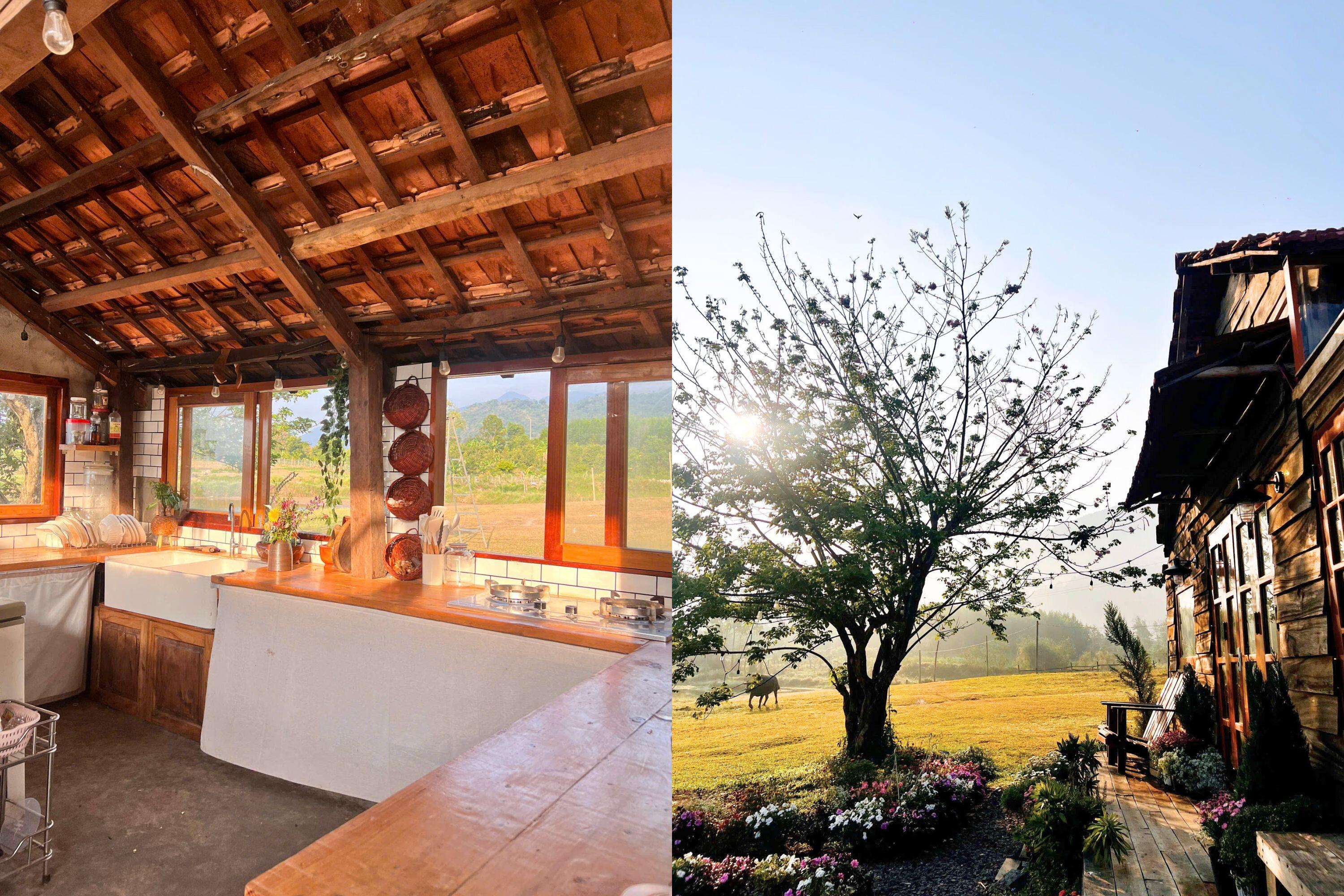 Chàng trai 9X “bỏ phố về quê”, vay tiền mua mảnh đất hoang giữa núi hồ xanh ngát, xây nhà vườn đẹp như tranh - 4