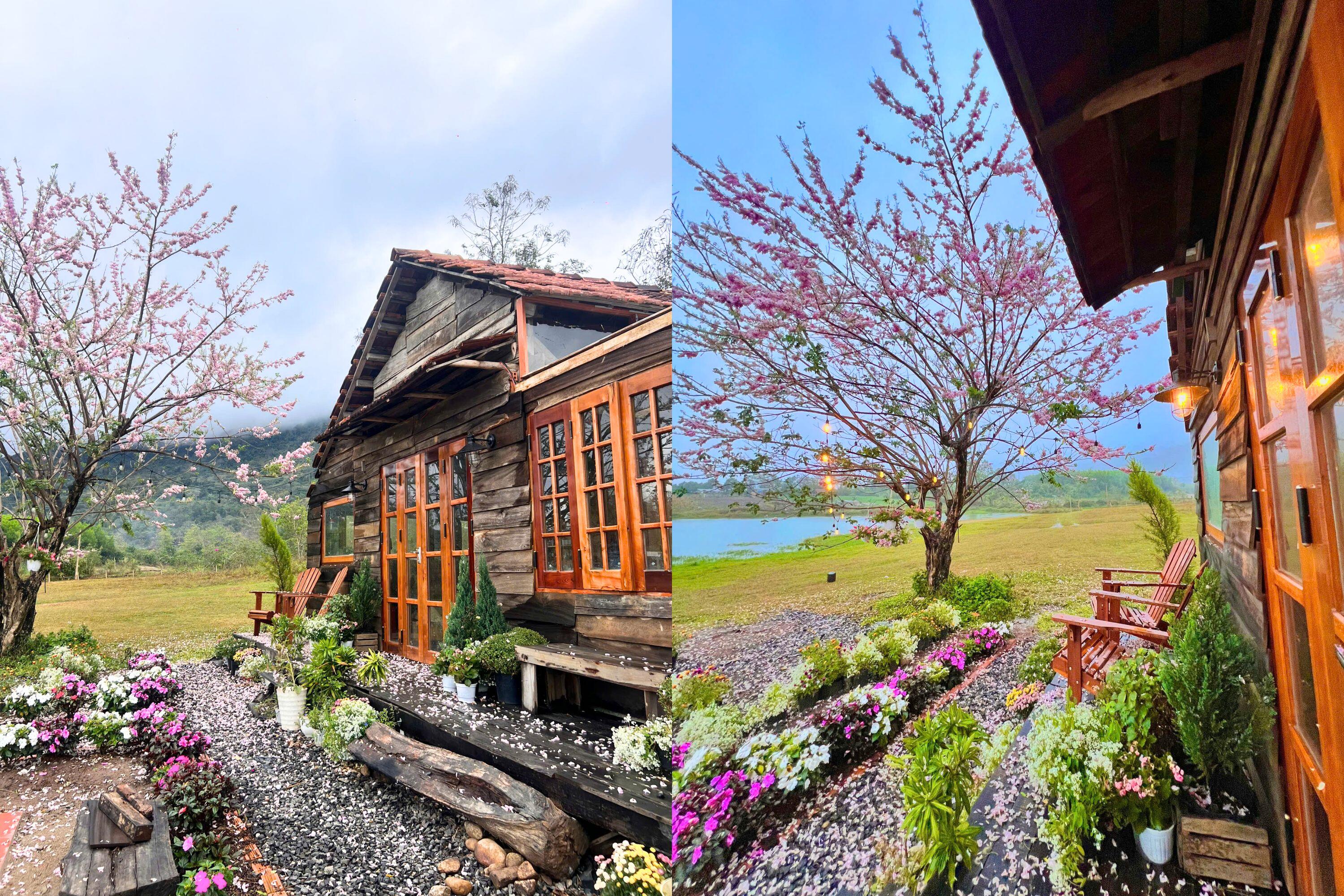 Chàng trai 9X “bỏ phố về quê”, vay tiền mua mảnh đất hoang giữa núi hồ xanh ngát, xây nhà vườn đẹp như tranh - 5