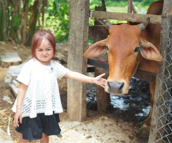 Ảnh: Độc lạ Bình Dương