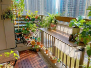 4 hoa tài lộc thích hợp cho người lười trồng ở ban công nhà, ít tưới nước cành lá vẫn sum suê