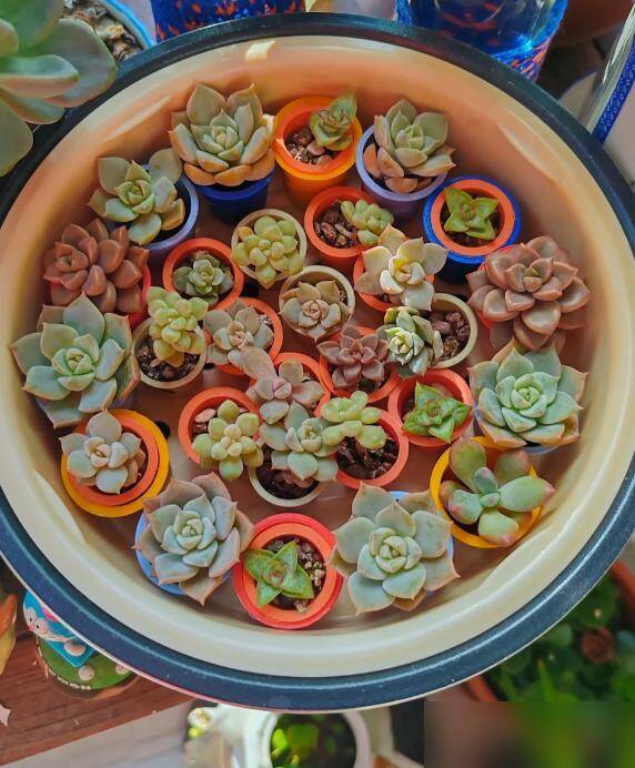 Sau nhiều lần vứt nồi cơm điện cũ, giờ tôi mới nhận ra giữ lại nó sẽ tiết kiệm được 6 khoản tiền lớn - 3