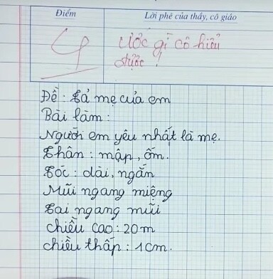 Viết văn tả về người mẹ “không có thật”, cậu bé lớp 2 bị cô giáo chấm 4 điểm - 1