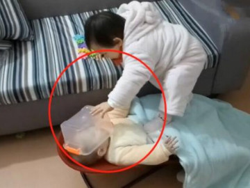 Chỉ 1 phút lơ là, người mẹ bật khóc khi chứng kiến cảnh con gái lớn bạo hành em sơ sinh