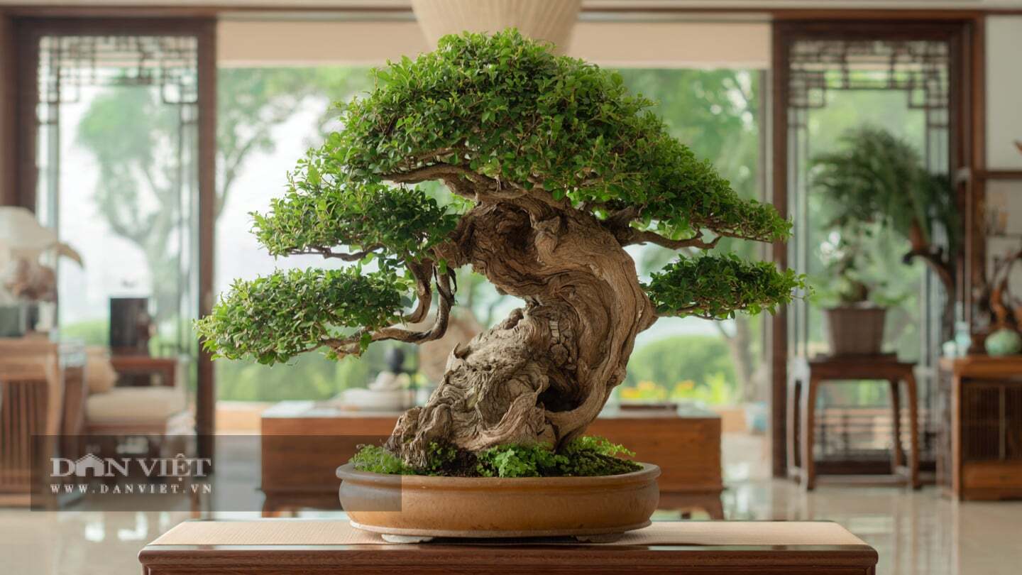 Dáng trực hoặc huyền thường được chuộng