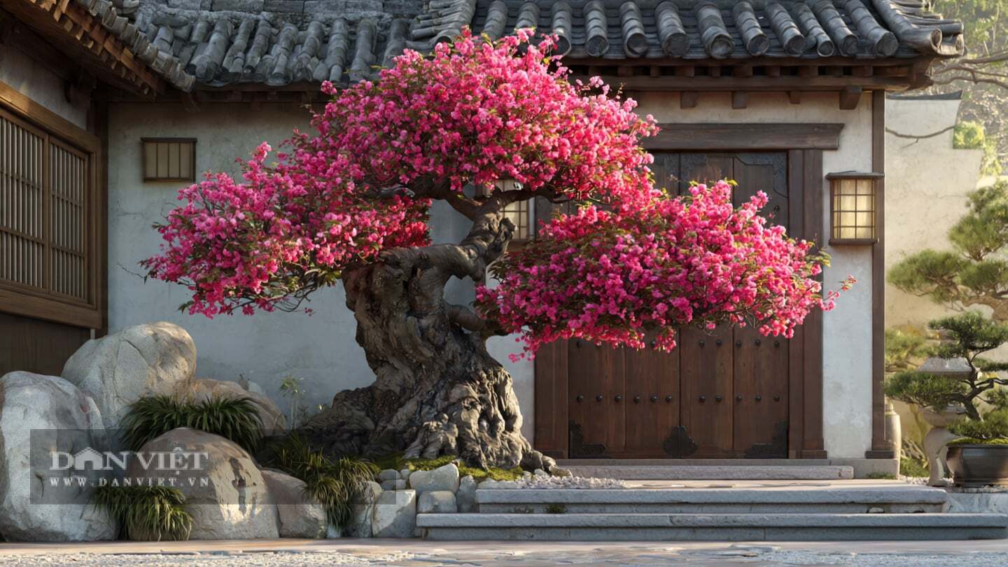 Uất lý là một bụi cây khiêm nhường.