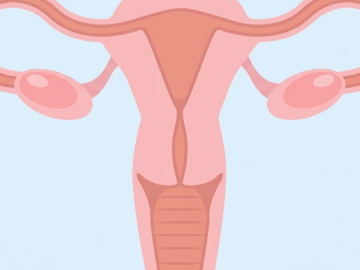 5 điều chưa biết về buồng trứng của phụ nữ