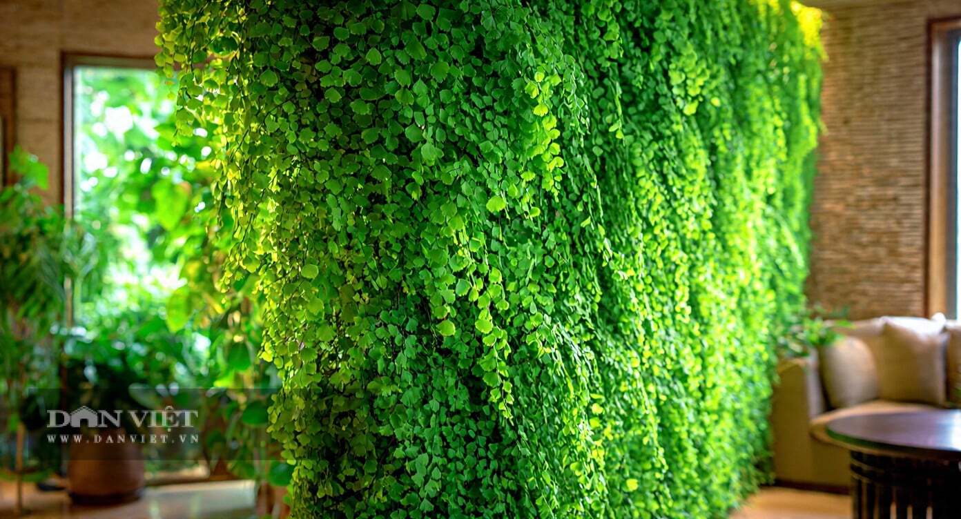 Cây cảnh như suối tóc xanh
