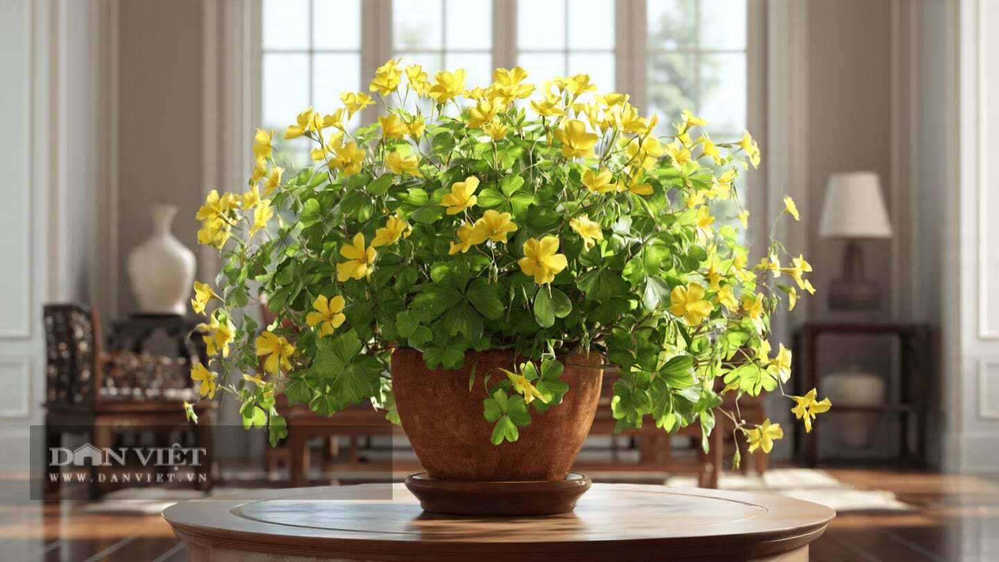 Sự tương phản ấy khiến cây cảnh đáng yêu đến không ngờ.