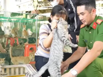 Người dân xúc động khi nhận lại thú cưng bị trộm