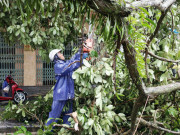 Tin tức - Móng Cái tan hoang sau bão số 1: Ngập sâu, cây đổ ngổn ngang nhiều nơi