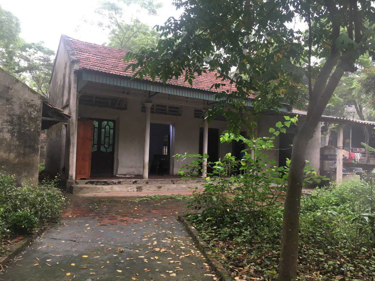 Căn nhà nhỏ gắn bó với tuổi thơ của Trang cùng mẹ và ông bà ngoại. Ảnh: NVCC