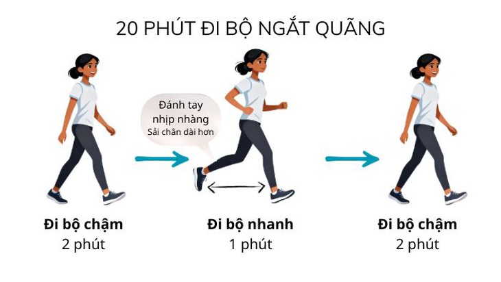 Xen kẽ đi bộ chậm và đi bộ nhanh giúp tiêu hao năng lượng và giảm mỡ nội tạng.