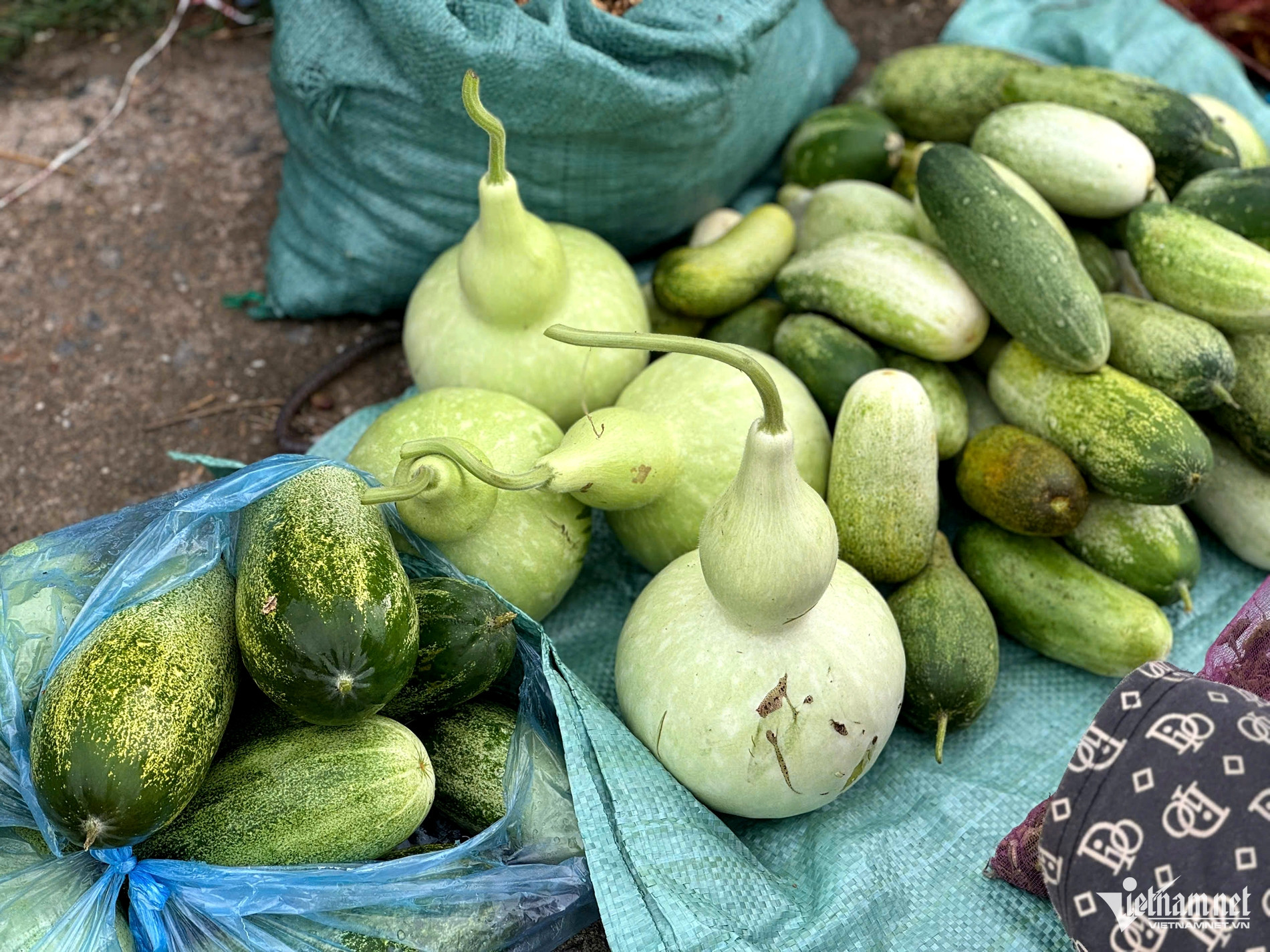 Giống dưa và bầu hồ lô được bà con người Mường tự trồng