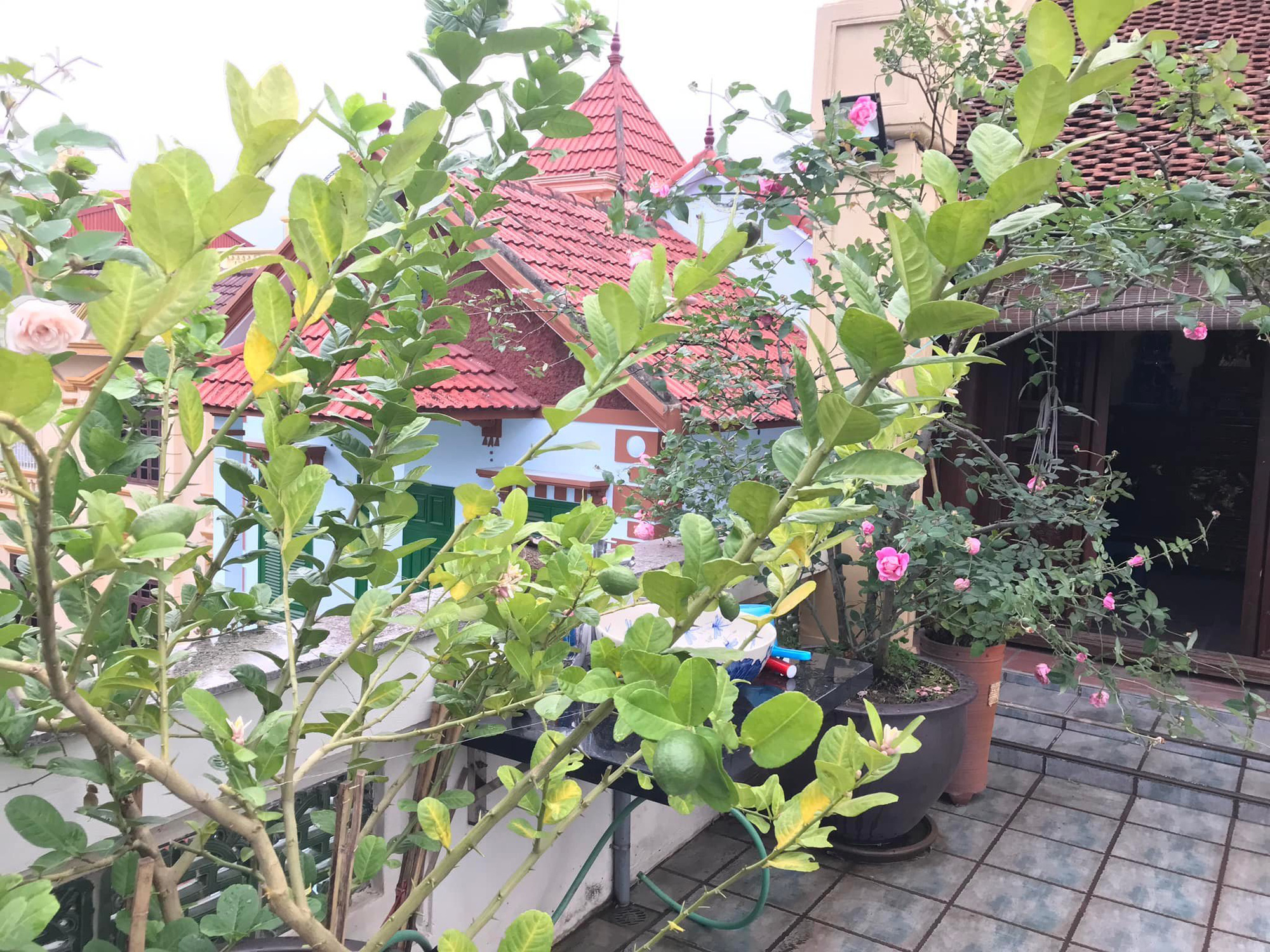 Mỹ nhân Hà thành trẻ nhất được phong NSND, hơn 30 năm hôn nhân chưa mặc váy cưới, hiện sống trong căn nhà thế nào? - 6