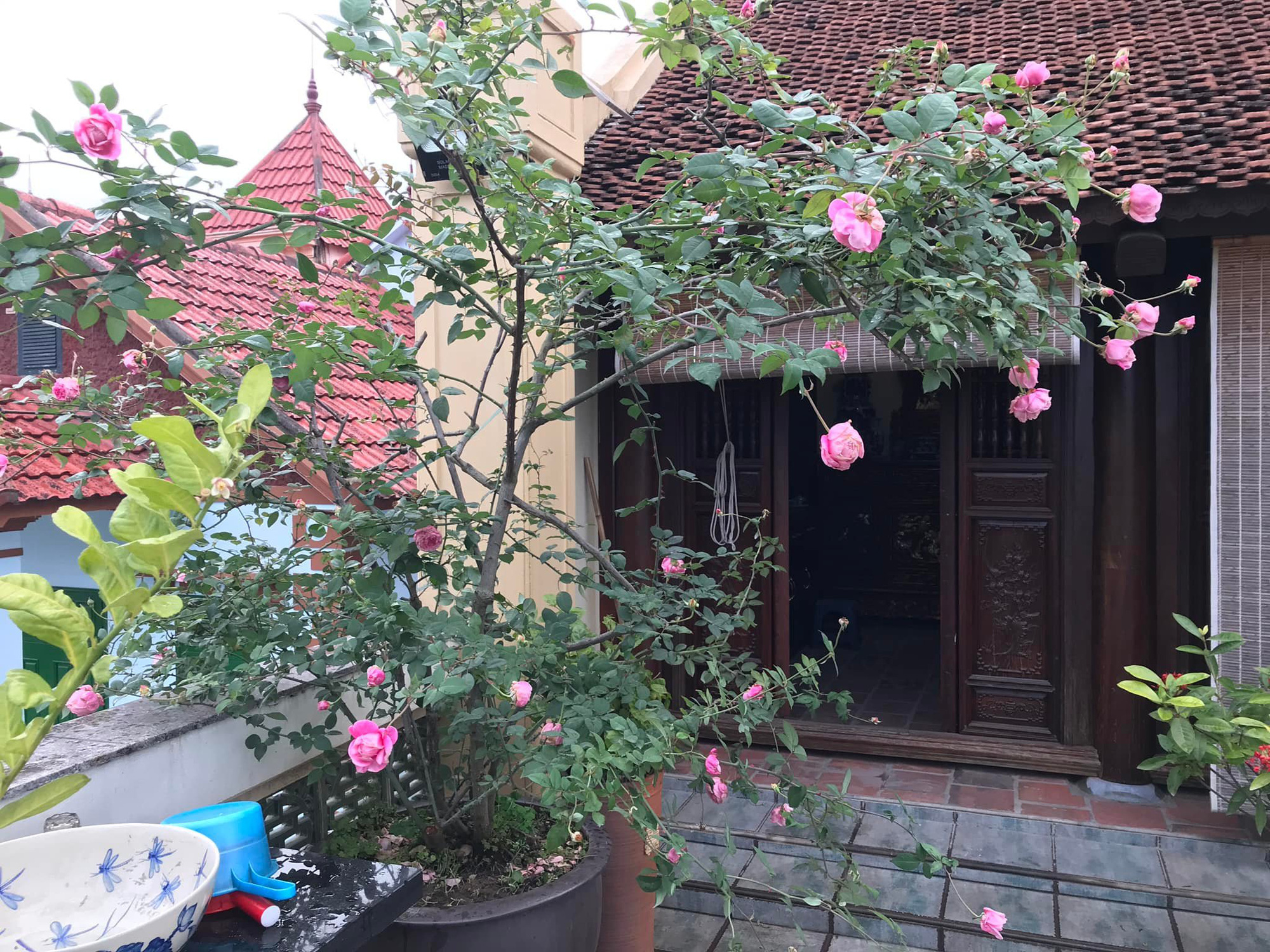 Mỹ nhân Hà thành trẻ nhất được phong NSND, hơn 30 năm hôn nhân chưa mặc váy cưới, hiện sống trong căn nhà thế nào? - 7