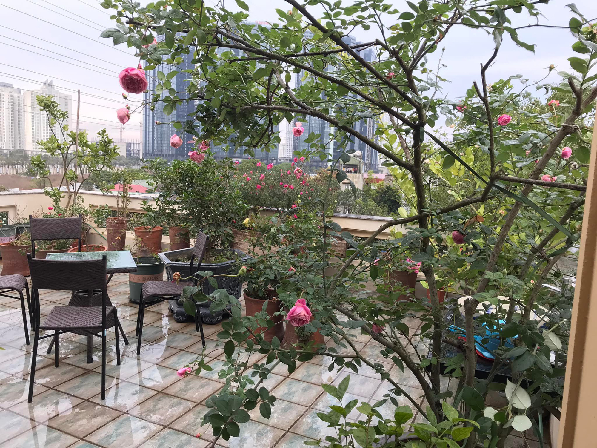 Mỹ nhân Hà thành trẻ nhất được phong NSND, hơn 30 năm hôn nhân chưa mặc váy cưới, hiện sống trong căn nhà thế nào? - 12