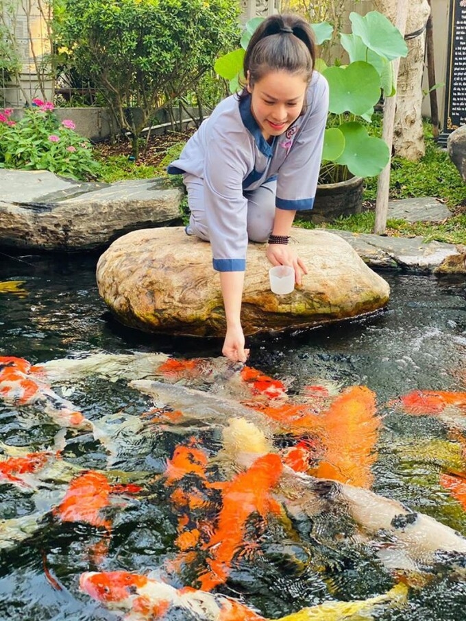 Trong biệt thự ở huyện Bình Chánh (TP HCM), diễn viên Nhật Kim Anh không tiếc tiền xây hồ cá, nuôi những chú cá Koi kích thước lớn, hoa văn đẹp. Mỗi ngày, cô có niềm vui cho các chú cá ăn.