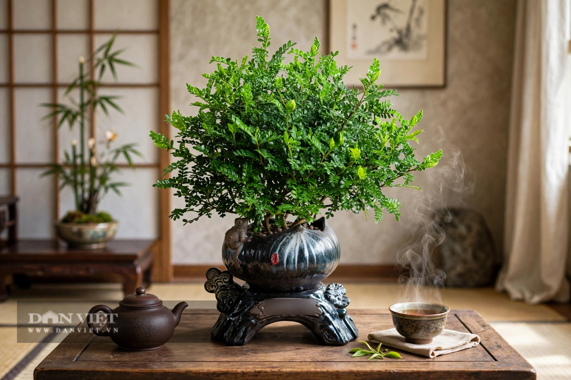 Bonsai tree