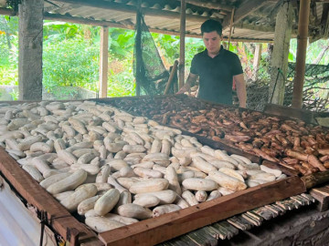Lifestyle - Đặc sản Tuyên Quang làm từ chuối gác bếp, vị ngọt thơm, để vài ngày vẫn mềm dẻo