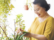 Yêu con - Đừng đợi nghỉ hưu mới lo: 3 điều quyết định tuổi già sung túc hay chật vật