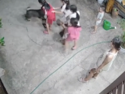 Clip Eva - Hài hước khoảnh khắc ‘khối nghỉ hè’ trêu chó vui như Tết: Dân mạng cười ngất ‘xin vé về tuổi thơ’
