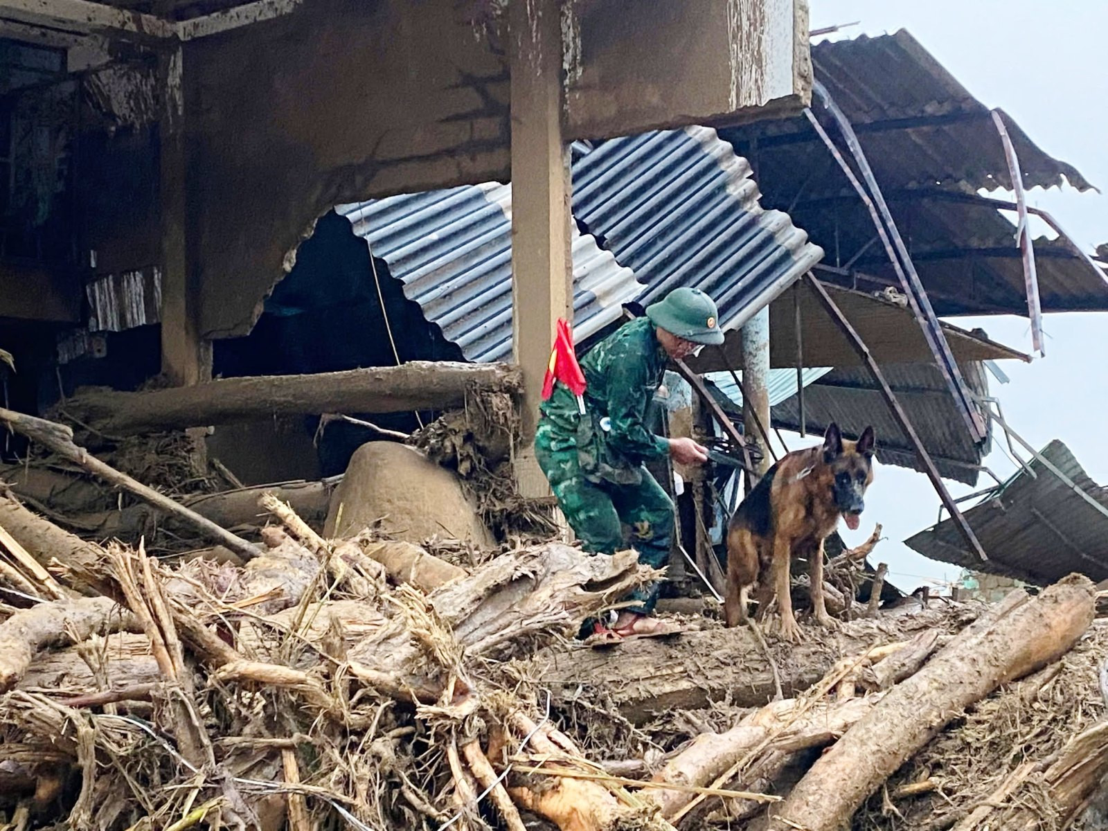 Chó nghiệp vụ được huy động đến hiện trường để hỗ trợ tìm kiếm các nạn nhân mất tích. Ảnh: B.P