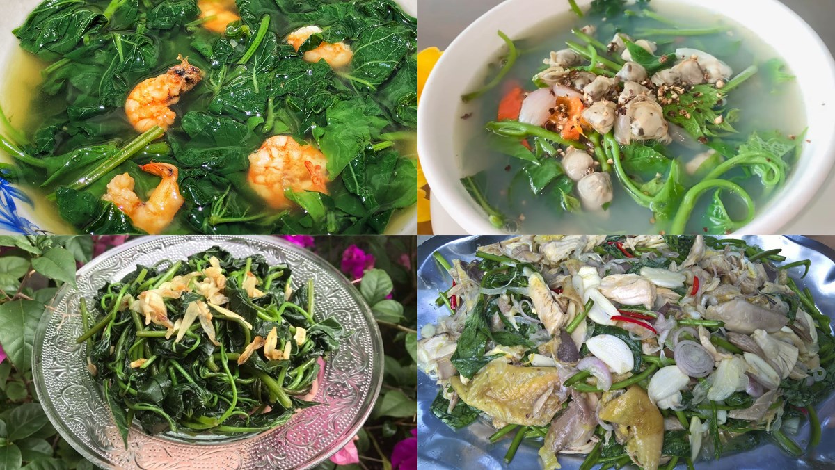 Loại rau quen thuộc trên mâm cơm Việt được nghiên cứu có thể hỗ trợ ngừa gan nhiễm mỡ, tiền tiểu đường - 1