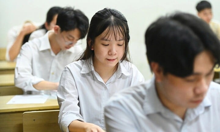 Giỏi Toán nên theo học ngành nào? (Ảnh minh họa)