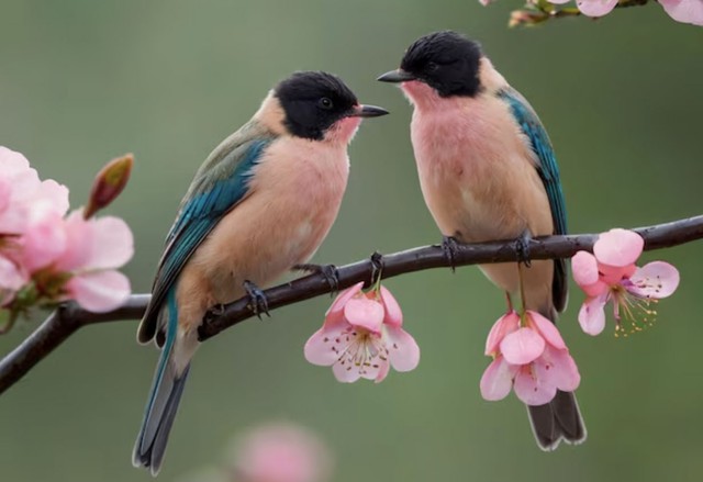 Người sinh vào giờ Ngọ Âm lịch nổi tiếng là chăm chỉ và có trách nhiệm. Ảnh minh họa