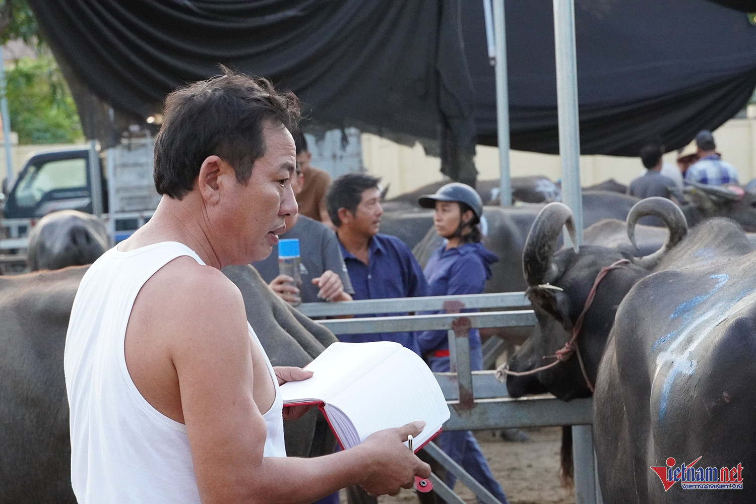 Phiên chợ đặc biệt ở Nghệ An, một vệt sơn chốt thương vụ cả chục triệu đồng - 3