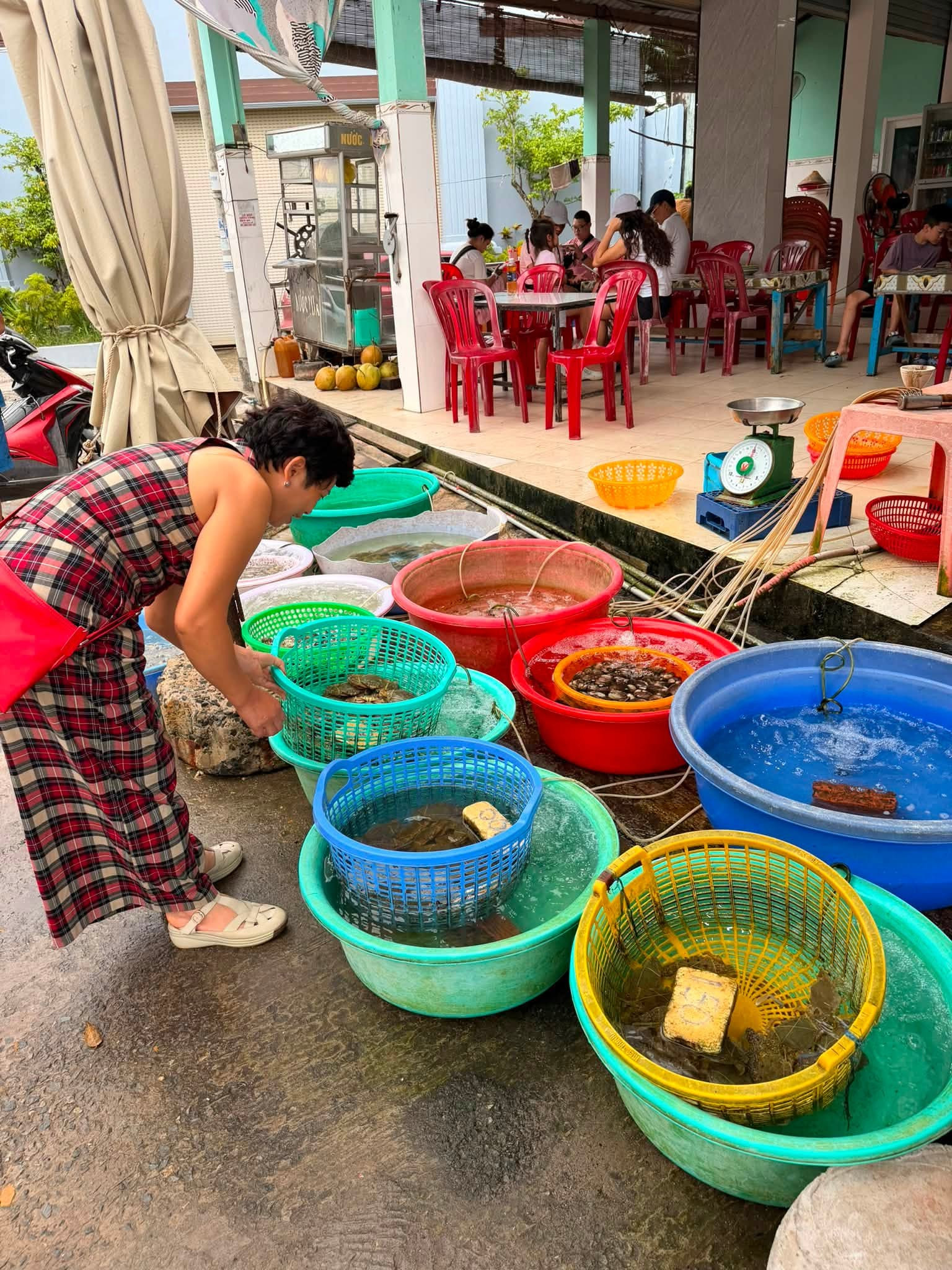 Đóng Cửa Hàng, Gia Đình 3 Thế Hệ Ở Hà Nội Lái Xe Xuyên Việt Gần 2 Tháng 13 Đóng Cửa Hàng, Gia Đình 3 Thế Hệ Ở Hà Nội Lái Xe Xuyên Việt Gần 2 Tháng - 3