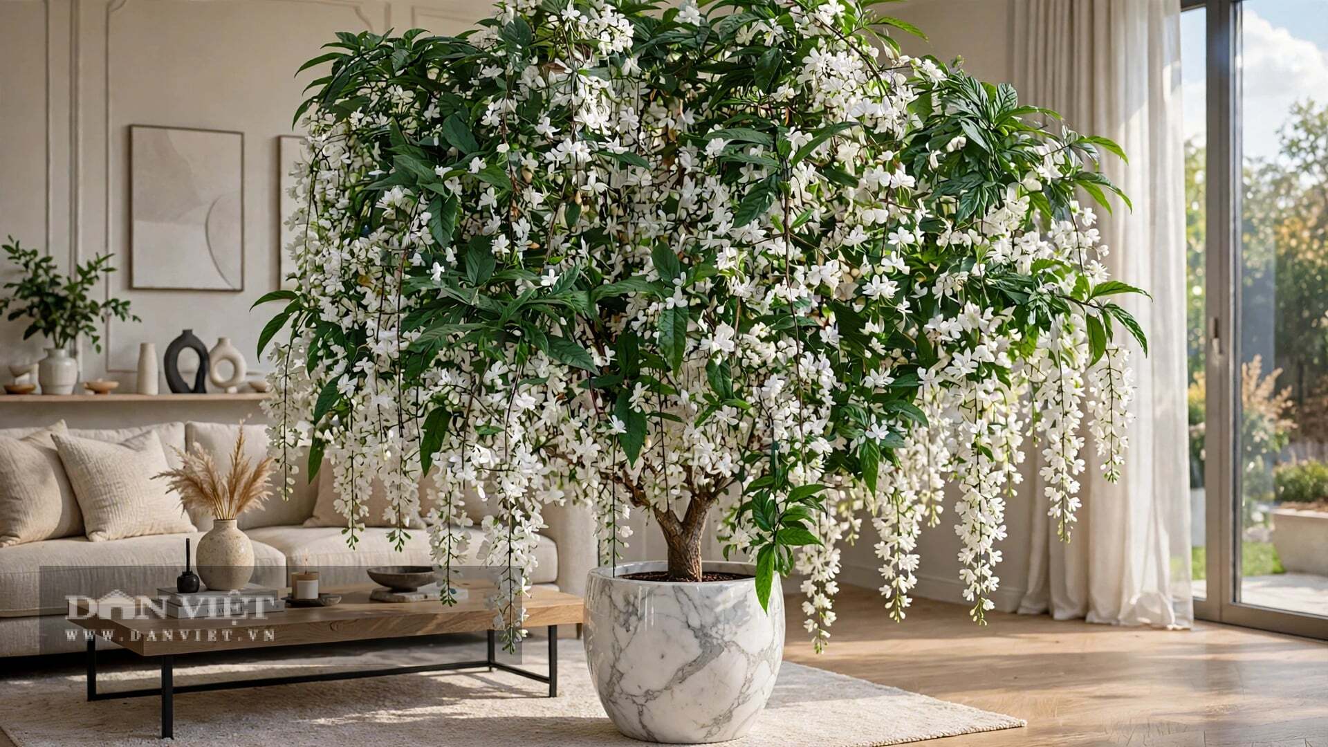 3 cây cảnh quý tộc nhà giàu thích nhất, chiêu tài, rước lộc, vượng gia, trồng trong nhà tiền tài tự tìm đến - 2
