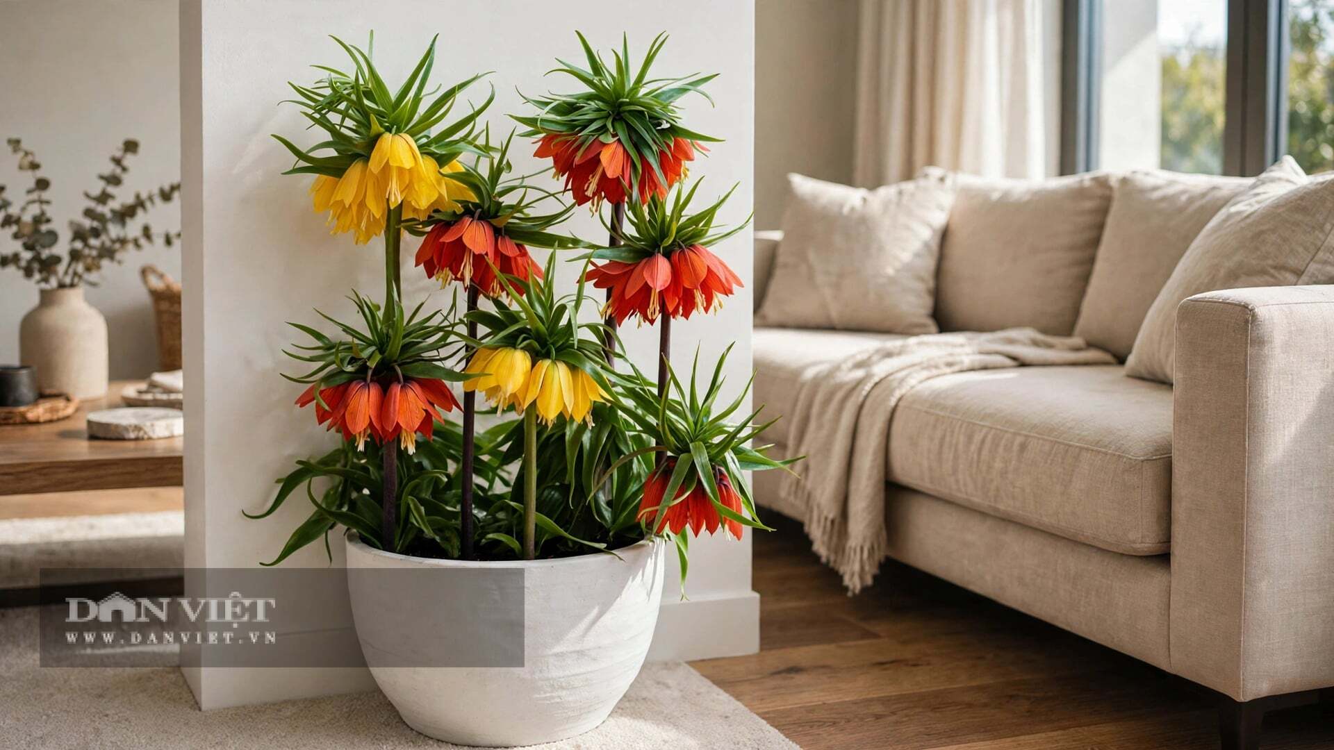 Cây cảnh có thân thẳng, vươn cao là thế trụ cột