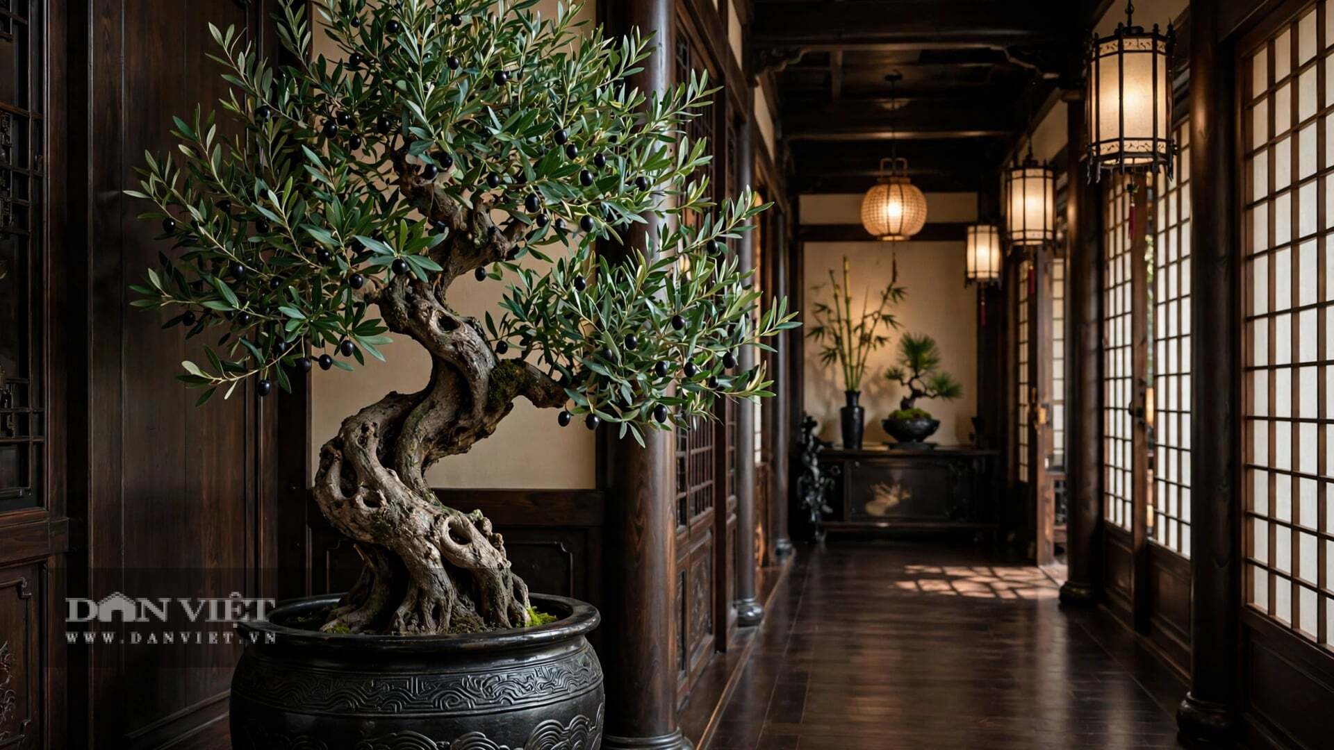 Khi không có gió, cây cảnh đứng yên như một bức tranh tĩnh vật.