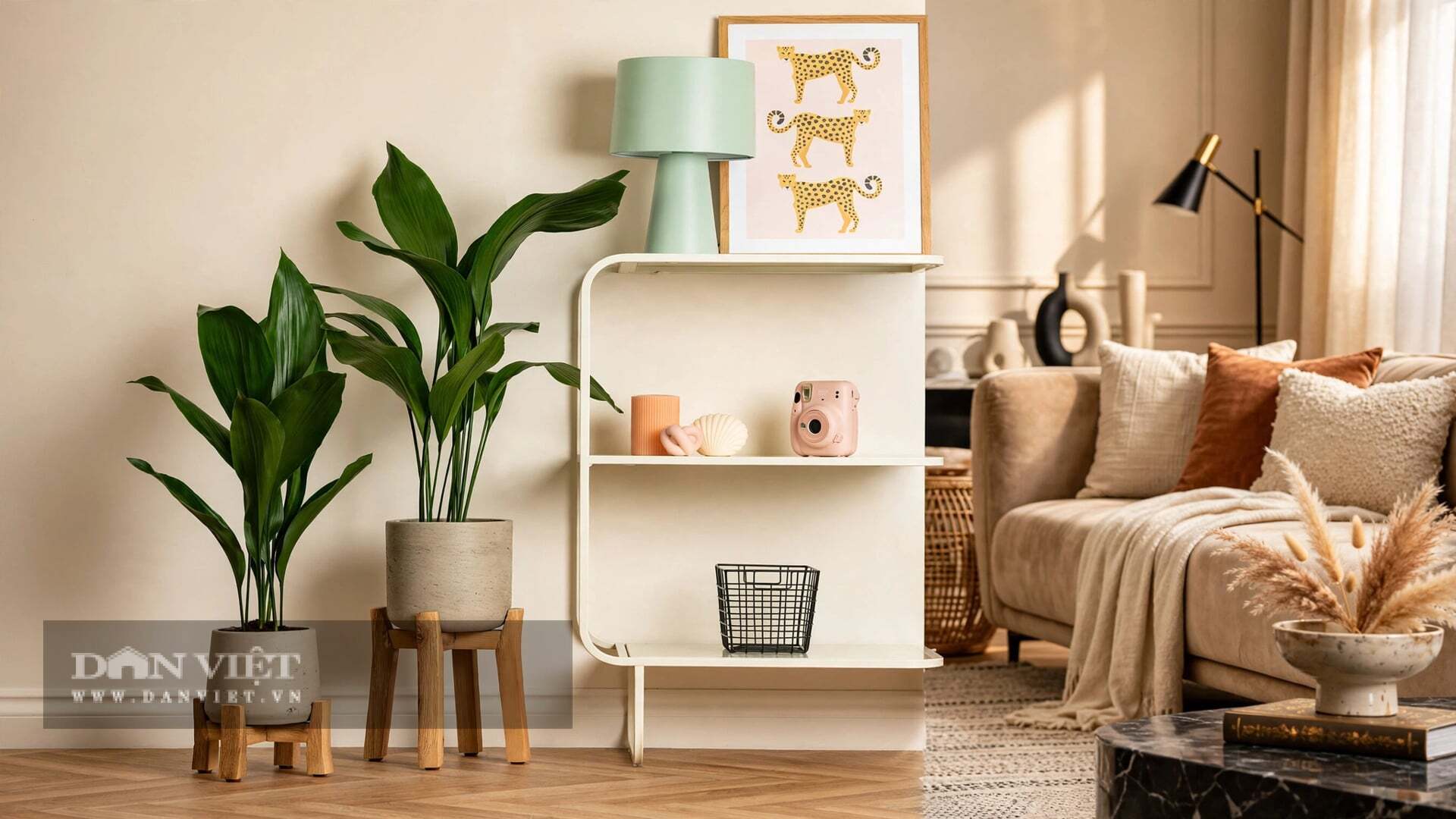 Cây cảnh này là phiên bản Plus của loài gián bất diệt