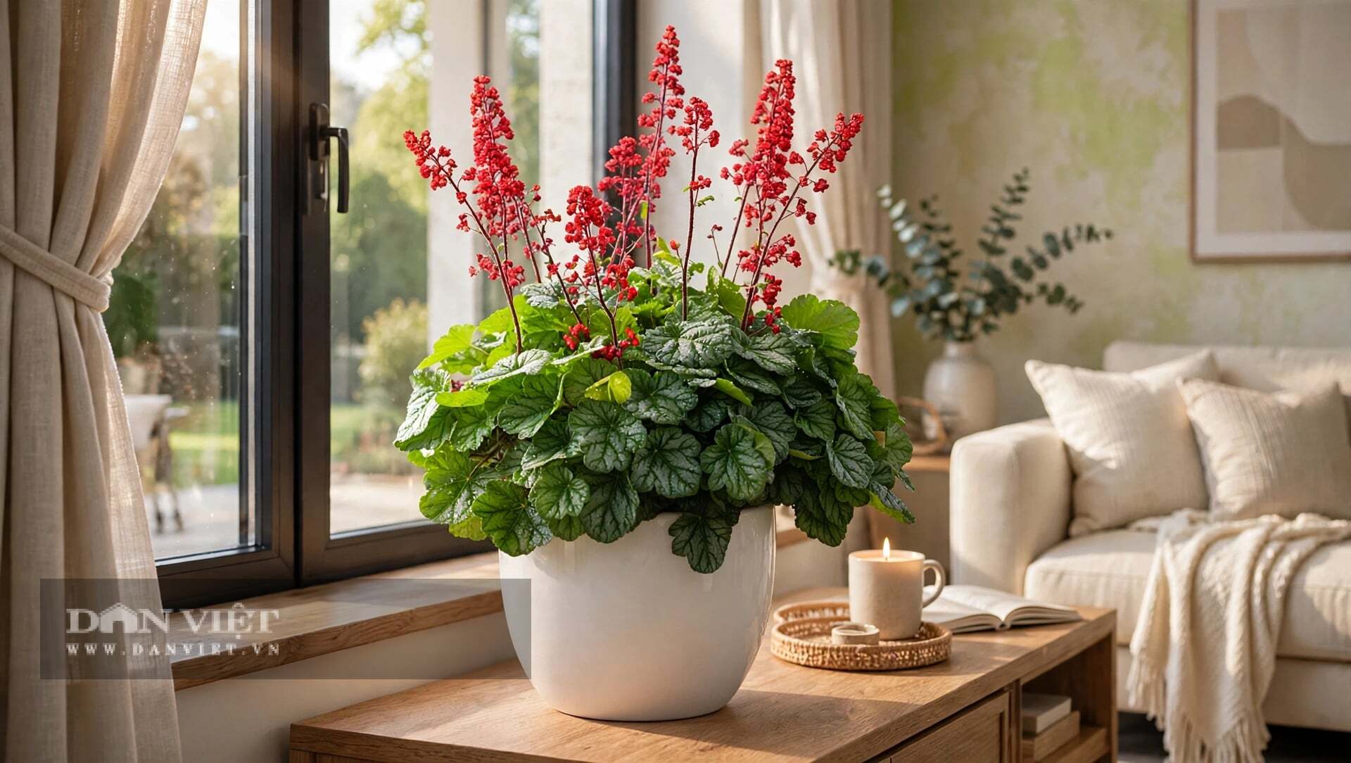 Cây cảnh này không dùng hoa để quyến rũ