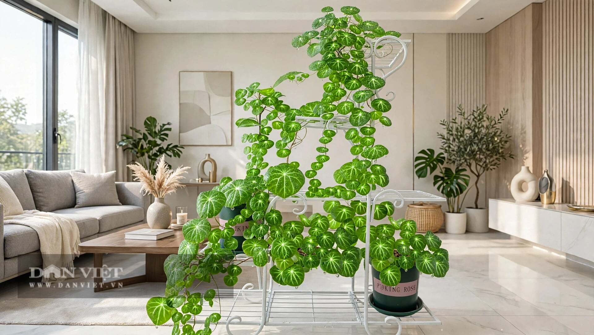 Sự tương phản giữa củ già nua, sần sùi và lá non tơ, tròn trịa chính là vẻ đẹp của sự luân hồi, của sinh tử.