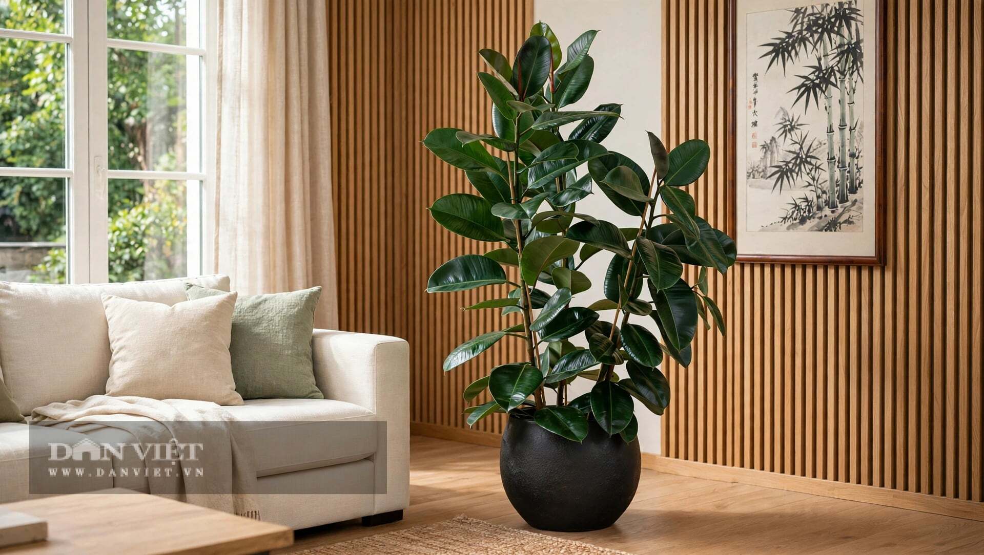 Nếu không cắt, cây cảnh sẽ mọc thẳng đuột