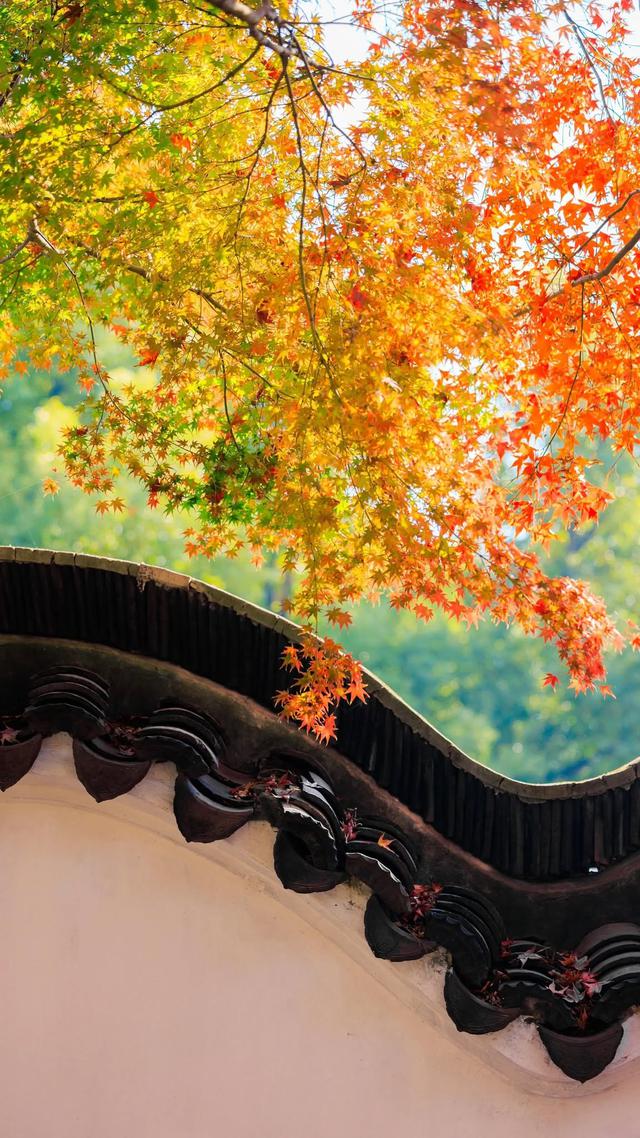 Nhờ tính cách ôn hòa, dễ thích nghi và biết lắng nghe, người sinh vào ngày 1 hoặc 20 Âm lịch thường hòa nhập nhanh với môi trường mới. Ảnh minh họa
