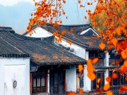 Eva tám - Ngày sinh Âm lịch của người sinh ra đã có "chìa khóa tài lộc" trong tay