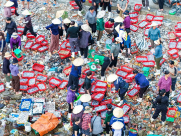 Chợ làng chài cách Hà Nội 3,5 giờ lái xe, hải sản tươi, mực từ 100.000 đồng/kg