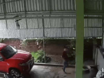 Clip: Tài xế vừa bước xuống, xe bán tải 'bất ngờ' lao về trước