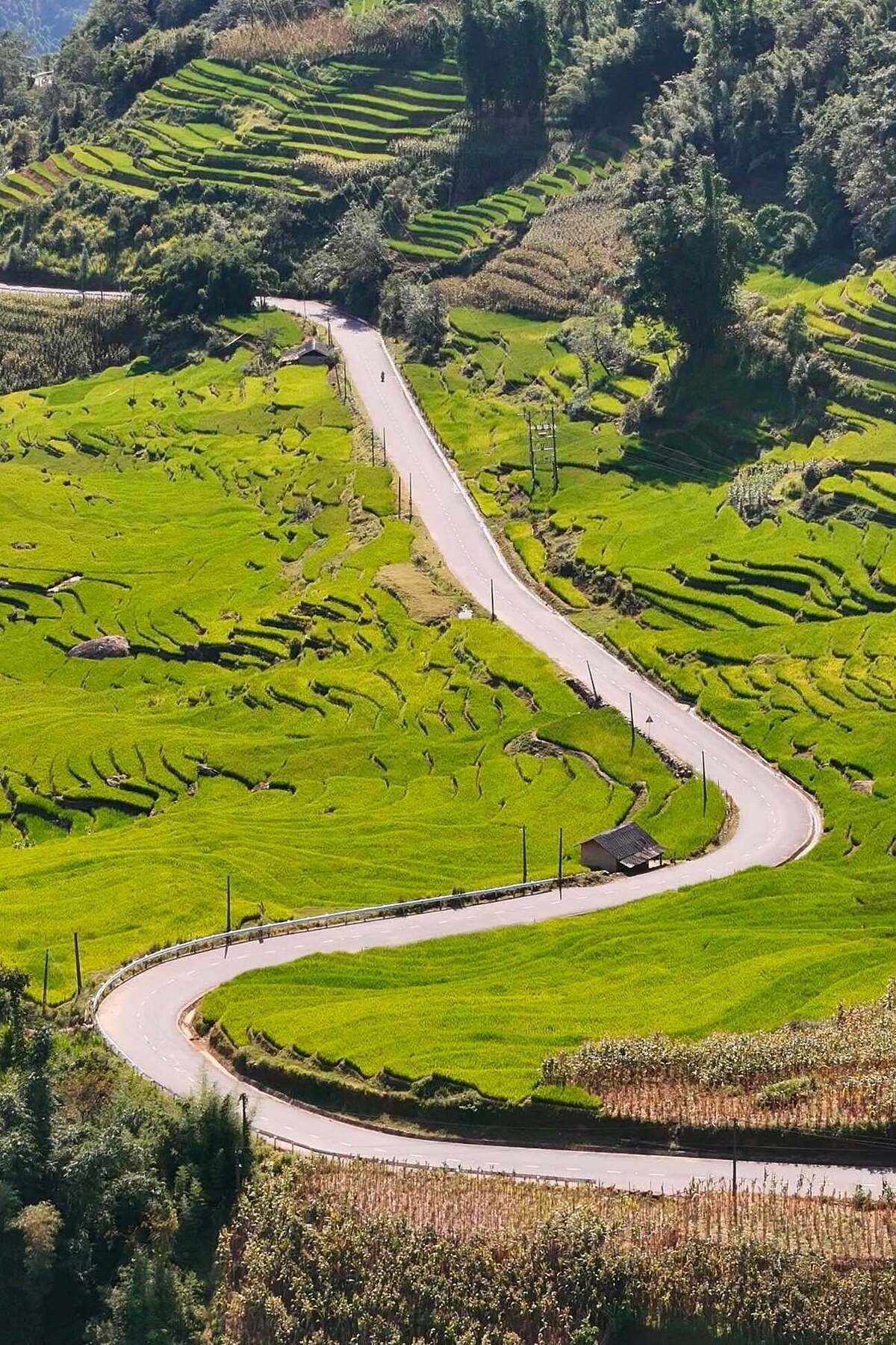 7 Trải Nghiệm Không Nên Bỏ Lỡ Ở Y Tý Mùa Lúa Chín - 3