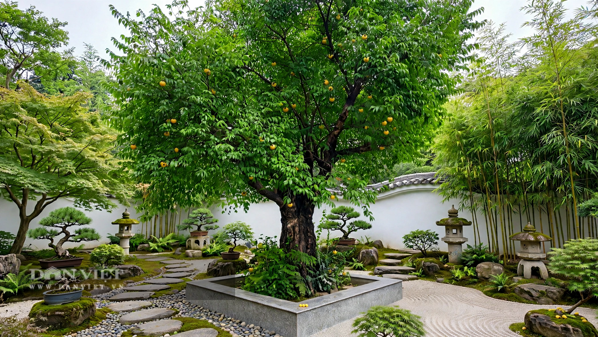 Trồng cây cảnh này, cả khu vườn mùa thu thơm phức