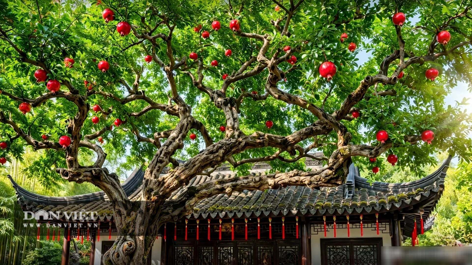 Giá trị của cây cảnh này trong khu vườn hiện đại còn là giá trị của sự sống động