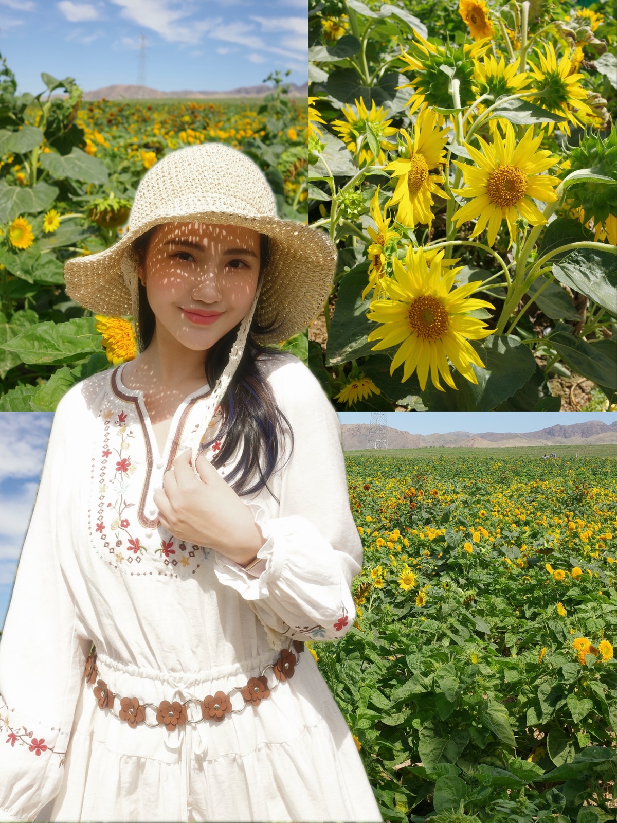 Bà mẹ hai con được nhiều bạn bè, người hâm mộ nhận xét mix đồ có gu. Siêu xinh giữa xứ sở thần tiên; Trang phục đẹp quá; Hình đợt này của cổ đẹp chấn động; Cô ấy thật xinh đẹp, không có dấu hiệu tuổi tác; Hình như Primmy Trương ngày càng trẻ ra; Cô này rất biết chọn đồ, mặc gì cũng đẹp và thanh lịch..., một số bình luận của khán giả trên Facebook bà xã Phan Thành.
